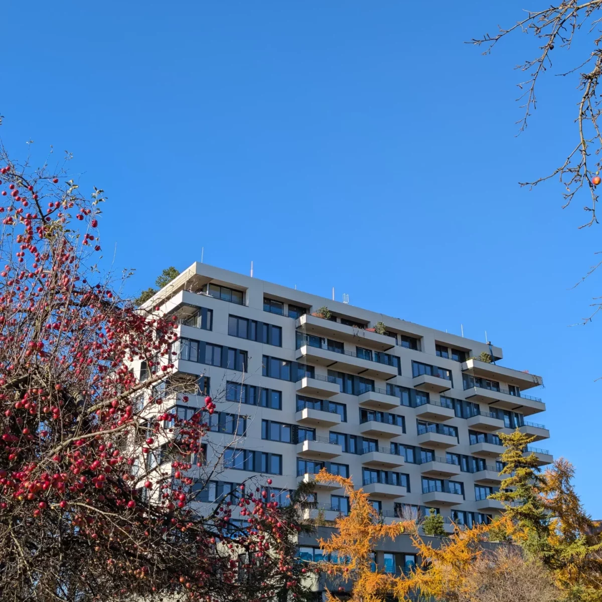 PXL_20251107_112446489