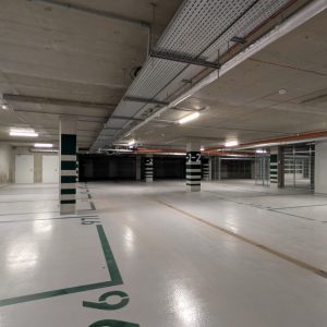 PXL_20260319_113220233