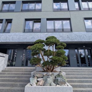 PXL_20260319_113944704